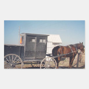 Adesivo Retangular Cavalo e carrinho de espera de Amish