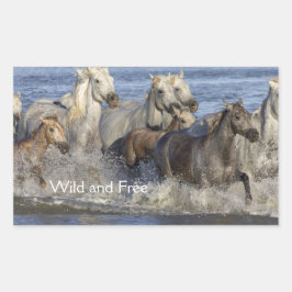 Adesivo Retangular Cavalos galopando na água