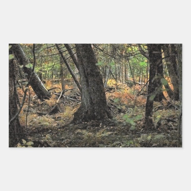 Adesivo Retangular Cena de floresta outonal               (Frente)