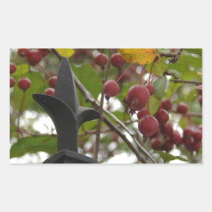 Adesivo Retangular Cerca e Crabapples
