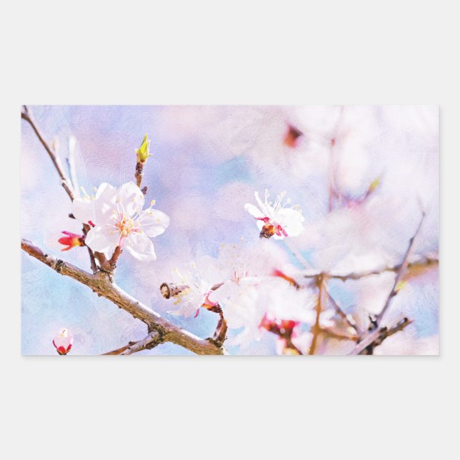 Adesivo Retangular Cereja Japonesa - Sakura em Bloom (Frente)