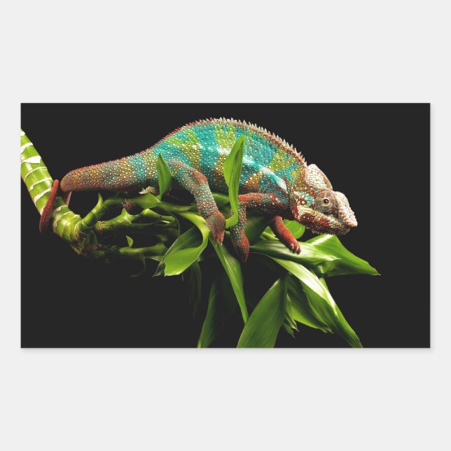 Adesivo Retangular Chameleon (Frente)