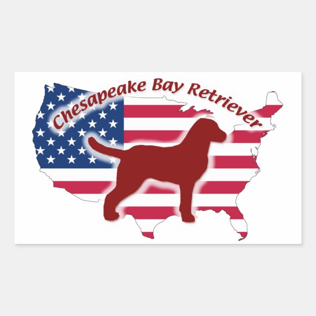 Adesivo Retangular Chesapeake Bay Retriever (Frente)