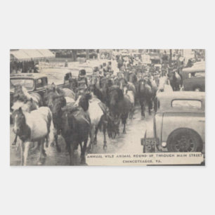 Adesivo Retangular Chincoteague Pony Vintage Horse Cartaz de Arte