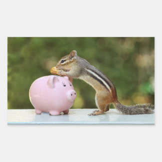 Adesivo Retangular Chipmunk Bonito com Imagem Bancária de Dinheiro En