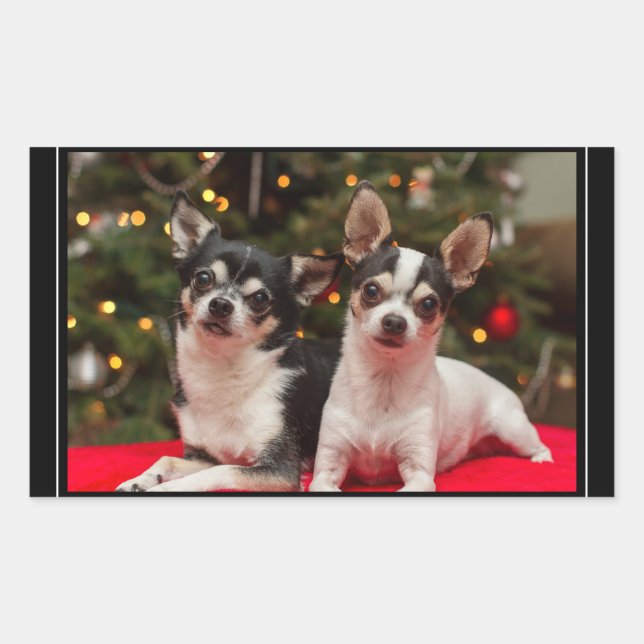 Adesivo Retangular Christmas Chihuahua's (Frente)
