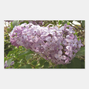 Adesivo Retangular Cluster de Lilac Blossoms Primavera Floral
