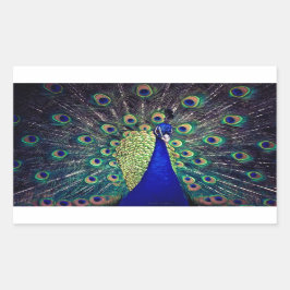 Adesivo Retangular Cobalto Blue Peacock