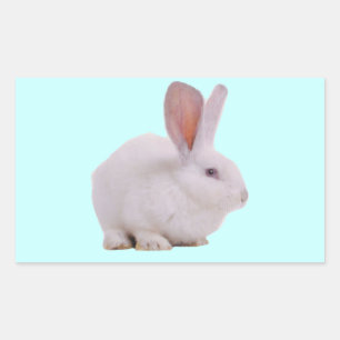 Adesivo Retangular Coelhinho Bunny Kawaii Fofo