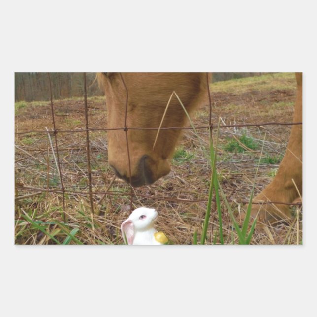 Adesivo Retangular coelhinho de cavalo e Primavera (Frente)