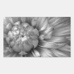 Adesivo Retangular Coleção de Casamentos Florais SILVER Dahlia
