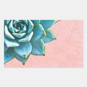 Adesivo Retangular Coloração d'água Suculta Lace Rosa