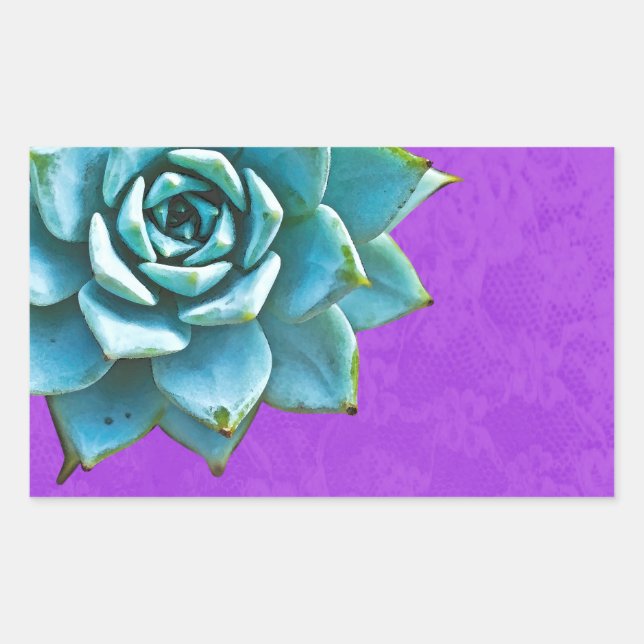 Adesivo Retangular Coloração d'água Suculta Roxo (Frente)