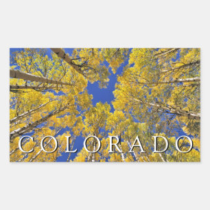 Adesivo Retangular Colorado Fall   Floresta Aspen no outono