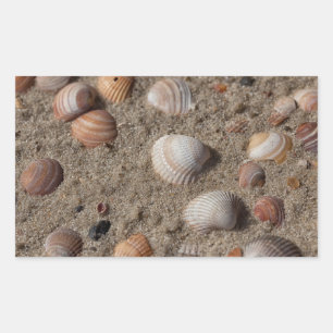 Adesivo Retangular Conchas marítimas na praia