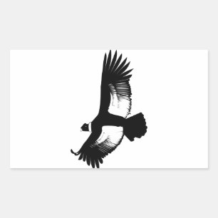 Adesivo Retangular Condor andino de voo