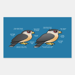 Adesivo Retangular Coop v Sharpie