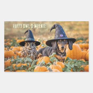 Adesivo Retangular Coruja e Dachshund Cachorro Halloween Engraçado