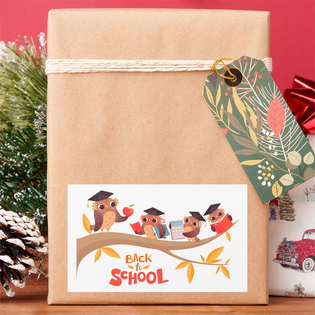 Adesivo Retangular Corujas bonitas de volta à graduação escolar (Criador carregado)