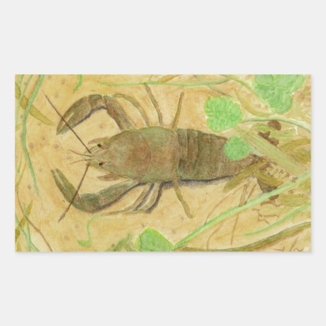Adesivo Retangular Crayfish (Frente)