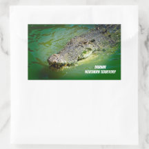 Crocodilo Saltwater de Darwin