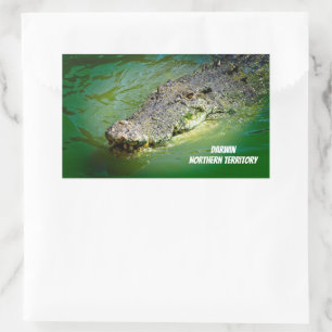 Adesivo Retangular Crocodilo Saltwater de Darwin