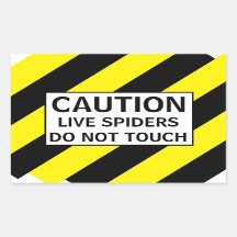CUIDADO ARANHA VIVA
