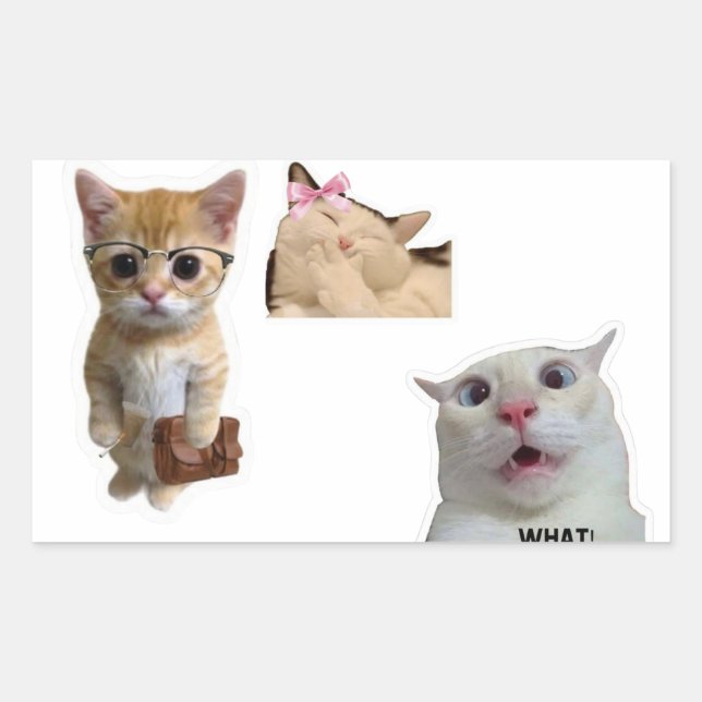 Adesivo Retangular Cute Artistic Aesthetic Sticker for Laptop  (Frente)