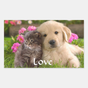 Adesivo Retangular Cute Gray Kitten Love Puppy Dog Golden Retriever 