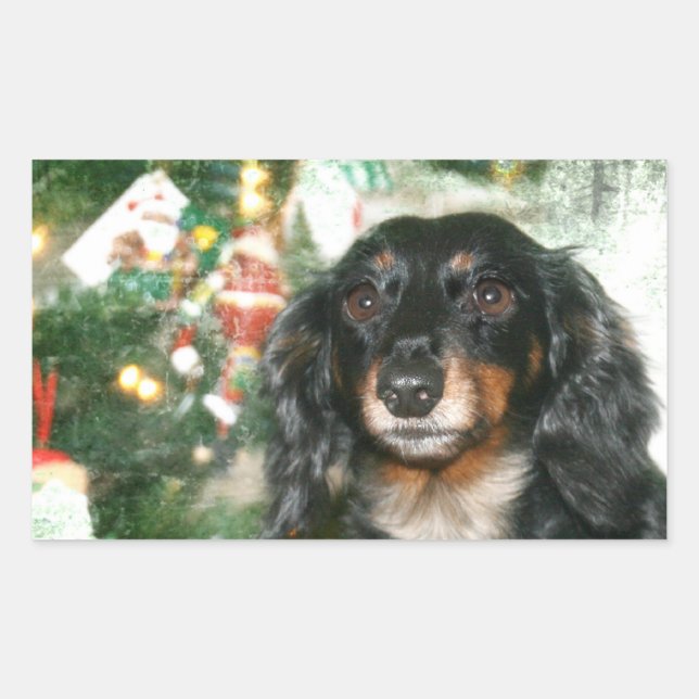Adesivo Retangular Dachshund Christmas (Frente)