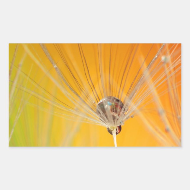 Adesivo Retangular Dandelion Blossoms Flores Destino Paz Amor Arte (Frente)