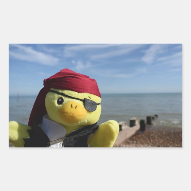Adesivo Retangular Danny Duck o Pirata (Frente)