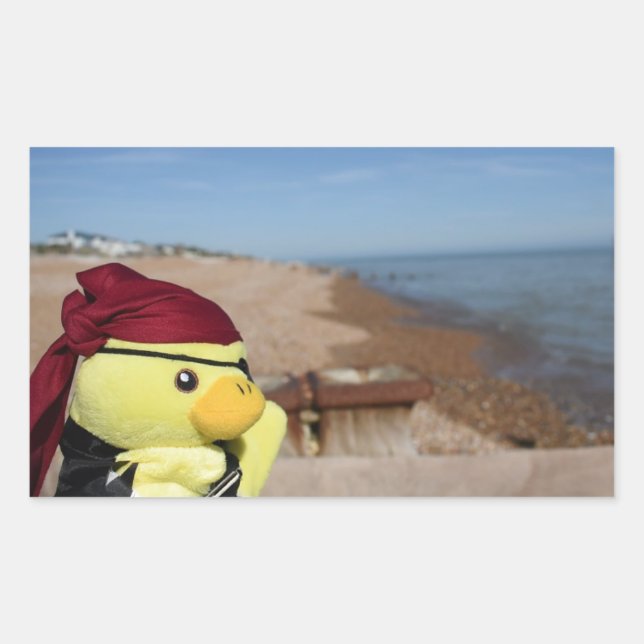 Adesivo Retangular Danny Duck o Pirata (Frente)