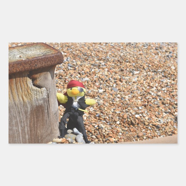 Adesivo Retangular Danny Duck o Pirata (Frente)