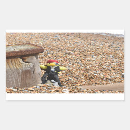 Adesivo Retangular Danny Duck o Pirata