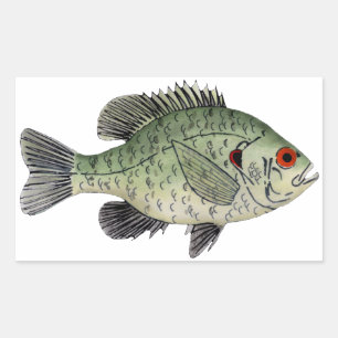Adesivo Retangular Dardos Sunfish