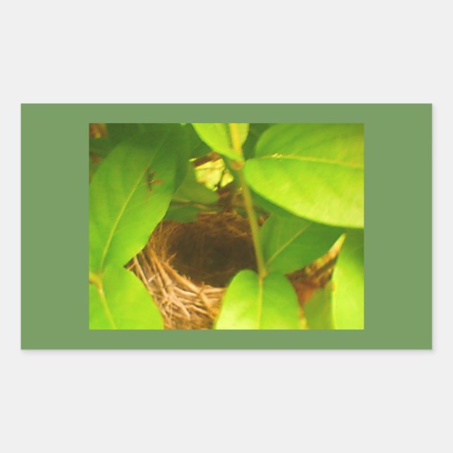 Adesivo Retangular de Ninho de Beija-flor (Frente)