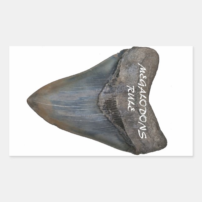 Adesivo Retangular Dente de tubarão Megalodon (Frente)