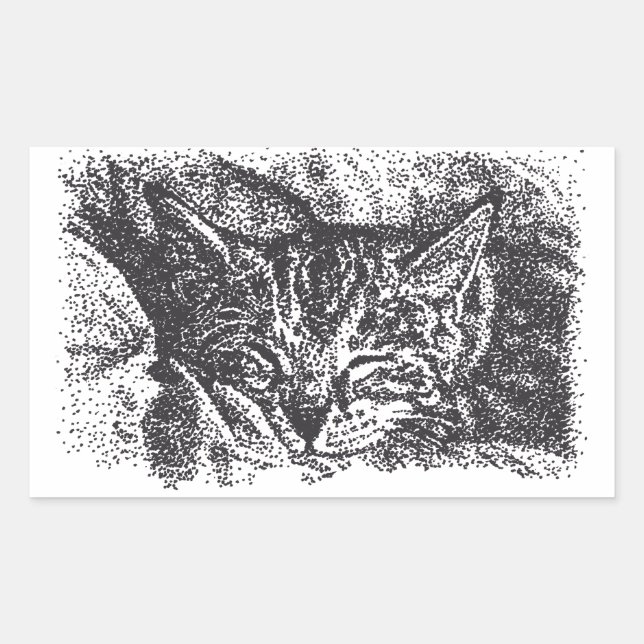 Adesivo Retangular Desenho De Gato De Dormir Bastante (Frente)