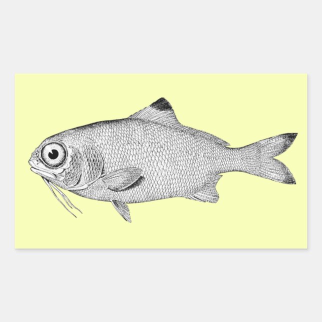 Adesivo Retangular Desenho de peixe-safra (Frente)