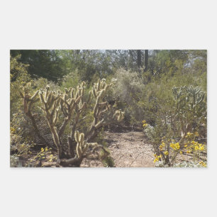 Adesivo Retangular Deserto