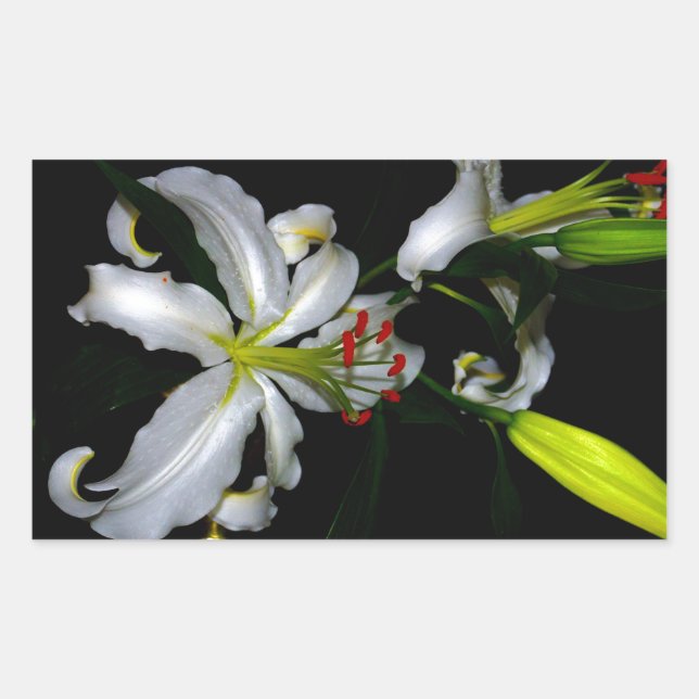 Adesivo Retangular Design irlandês e Design de flores (Frente)