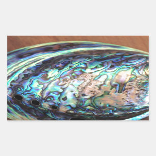 Adesivo Retangular Detalhe azul e verde do olmo de Paua do marisco