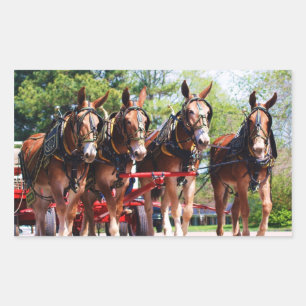 Adesivo Retangular dias de multa