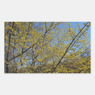 Adesivo Retangular Dogwood da cereja de cornalina e céu azul florais