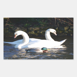 Adesivo Retangular Dois Cisnes E Um Pato