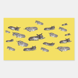 Adesivo Retangular Donkey Multi