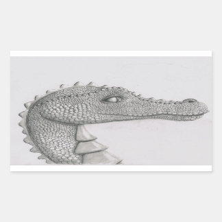 Adesivo Retangular Dragão assado