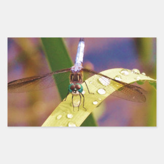 Adesivo Retangular Dragonfly na folha de chuva