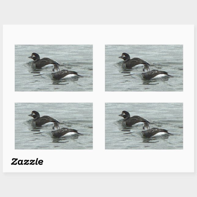 Adesivo Retangular Ducks in Ocean Photo Stickers (Folha)